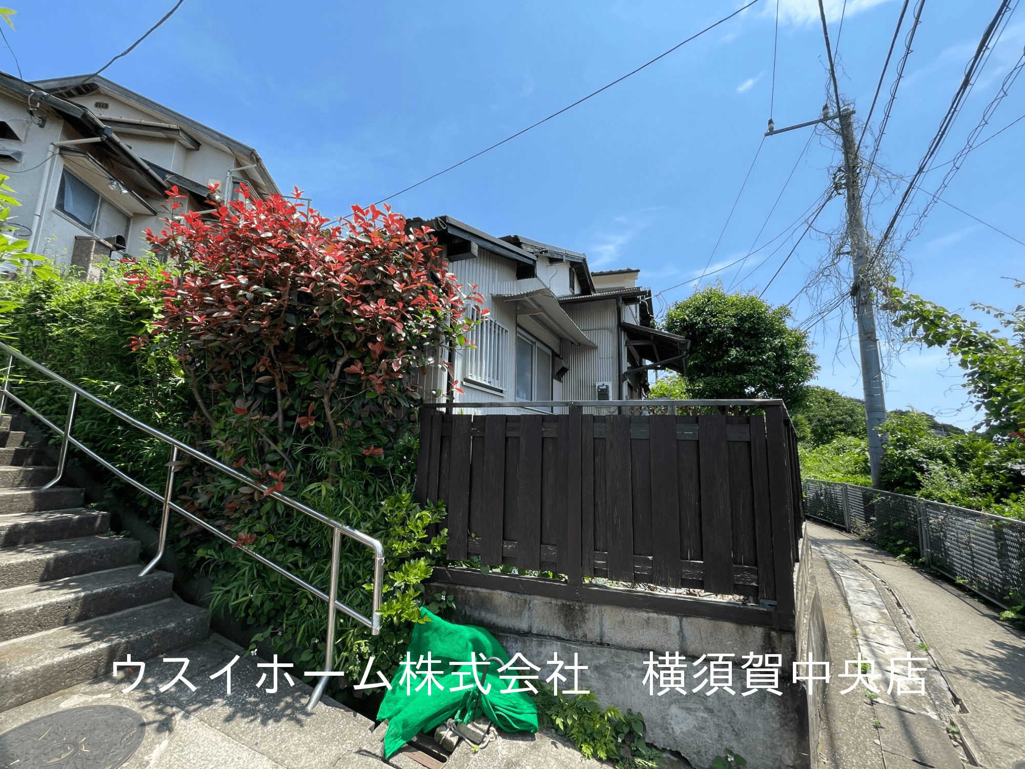 post-image, 20250613186