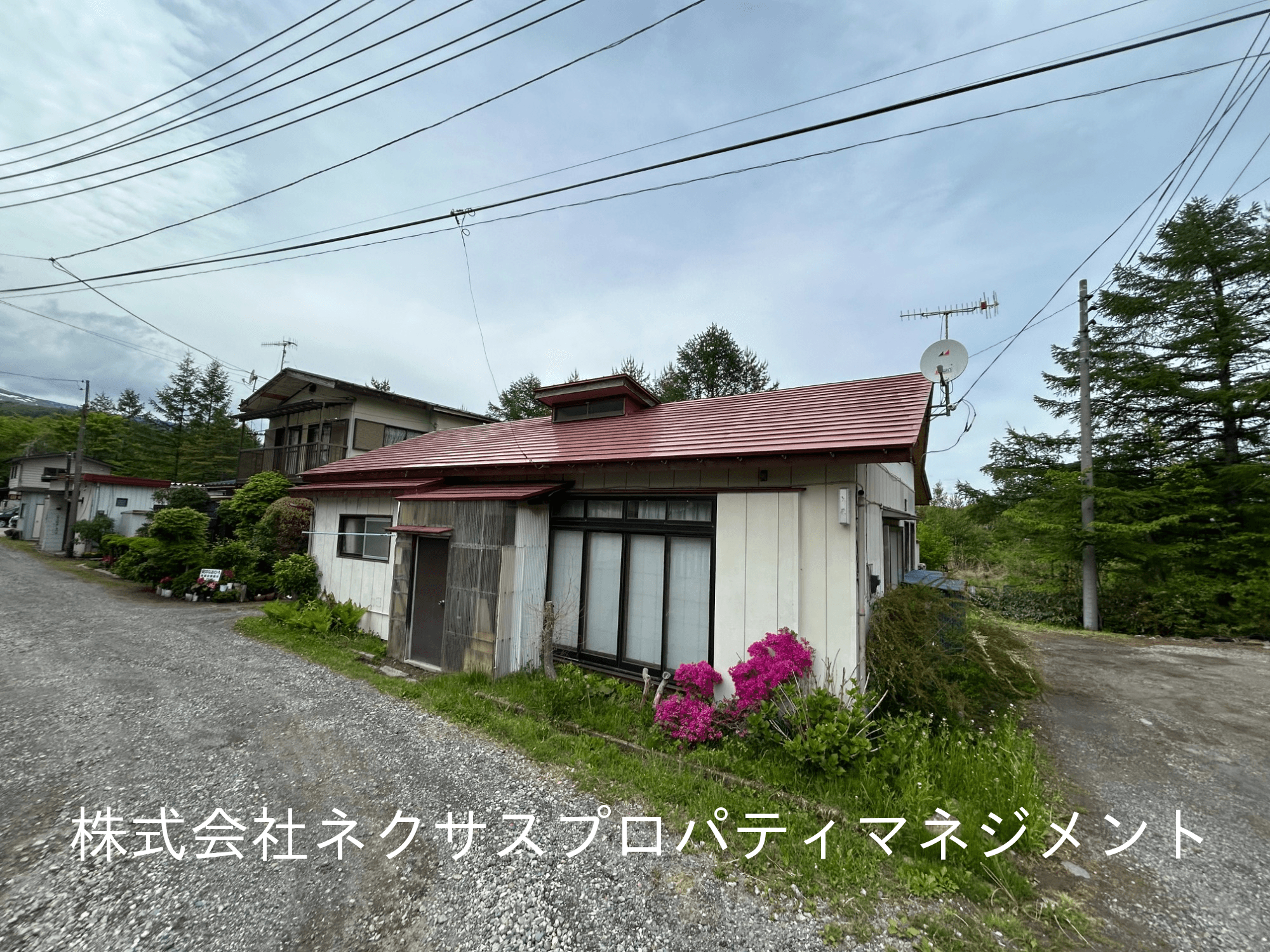 post-image, 20250613205