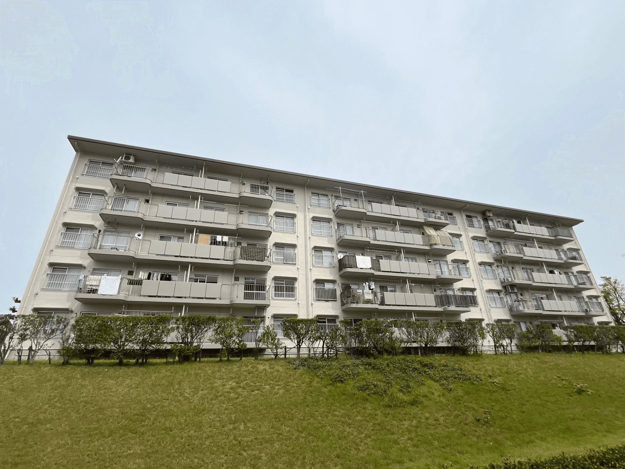 post-image, 20250613307