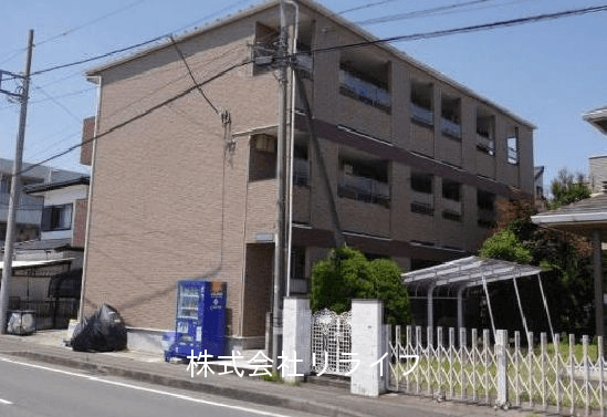 post-image, 20250613822