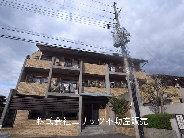 post-image, 20250613827