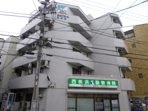 post-image, 20250618502