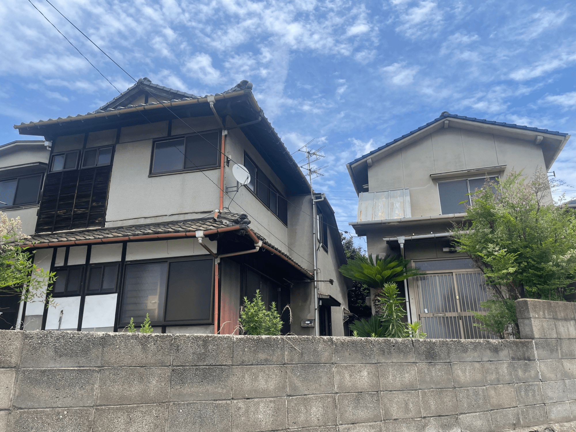 post-image, 2025061878