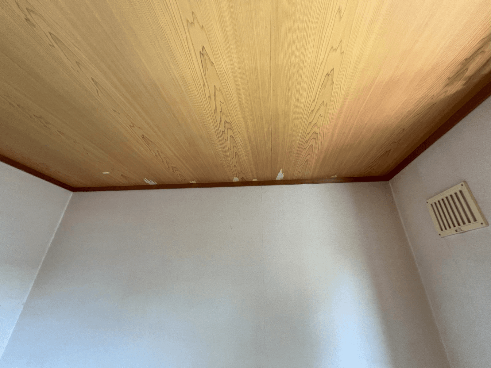 post-image, 20250708213
