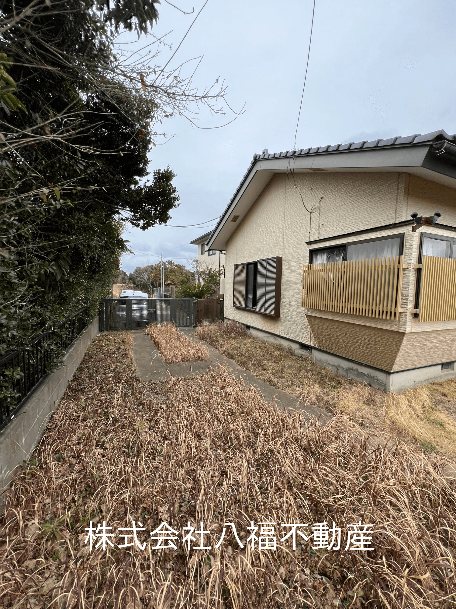 post-image, 20250710120