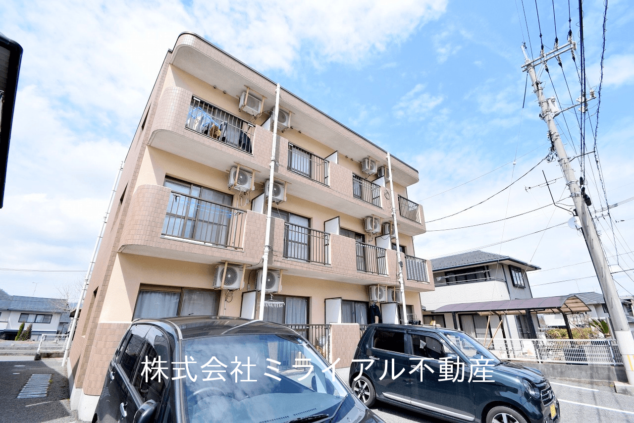 post-image, 20250720181