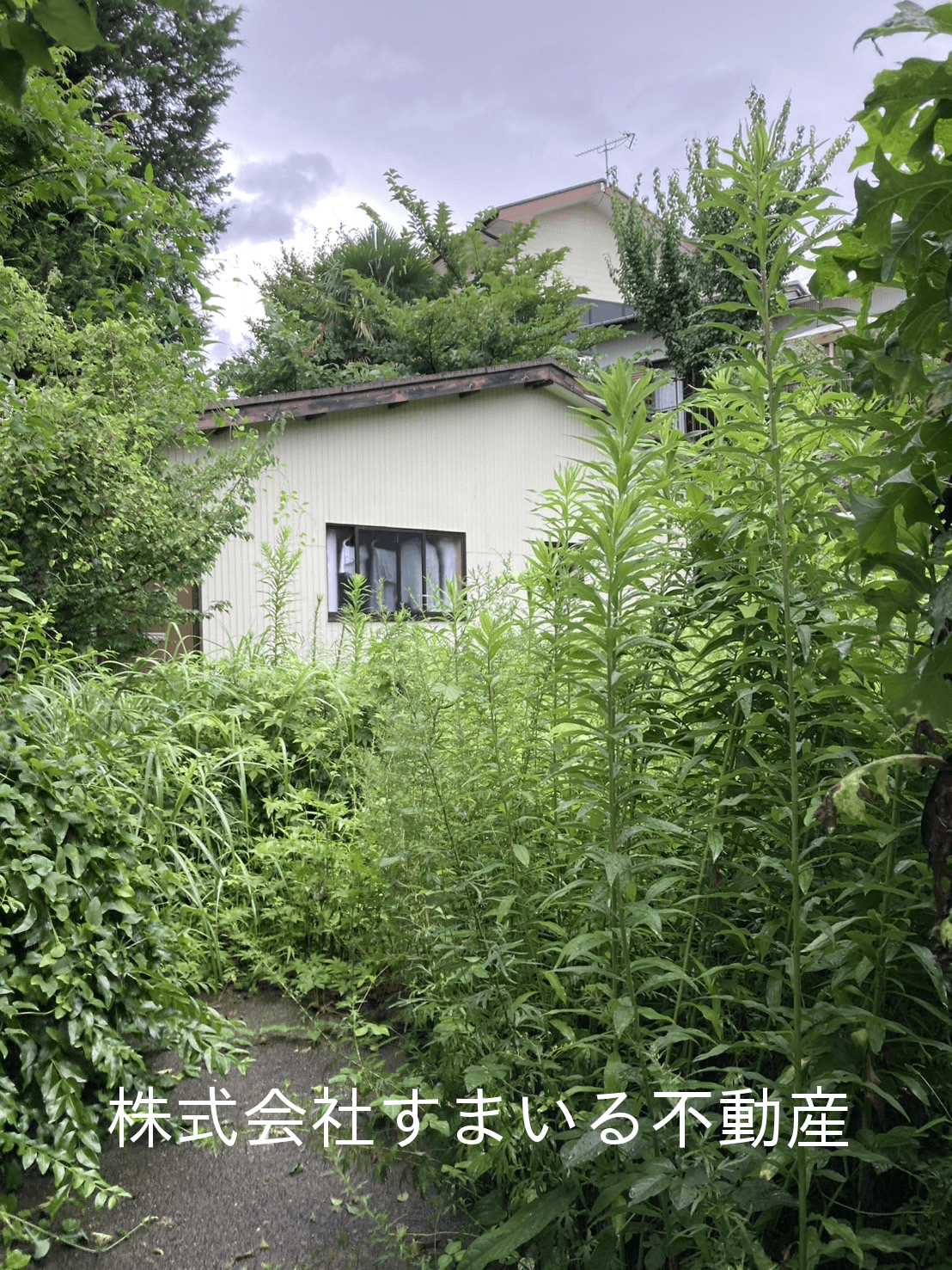 post-image, 20250720745