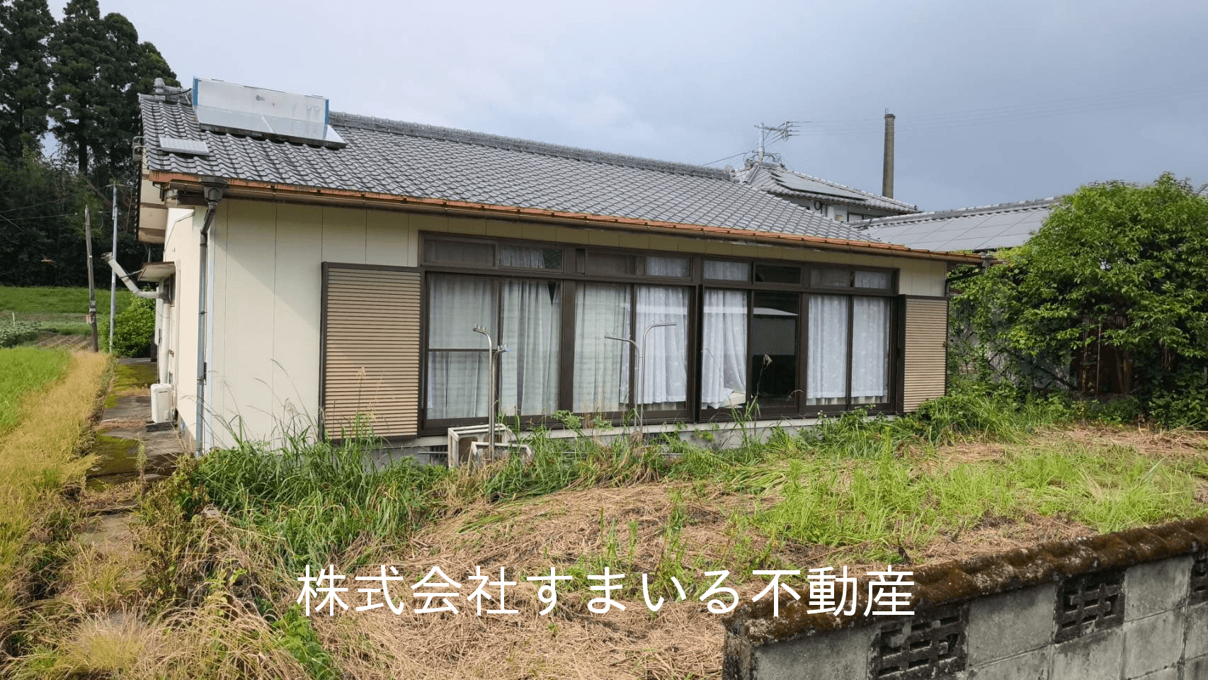 post-image, 20250720797