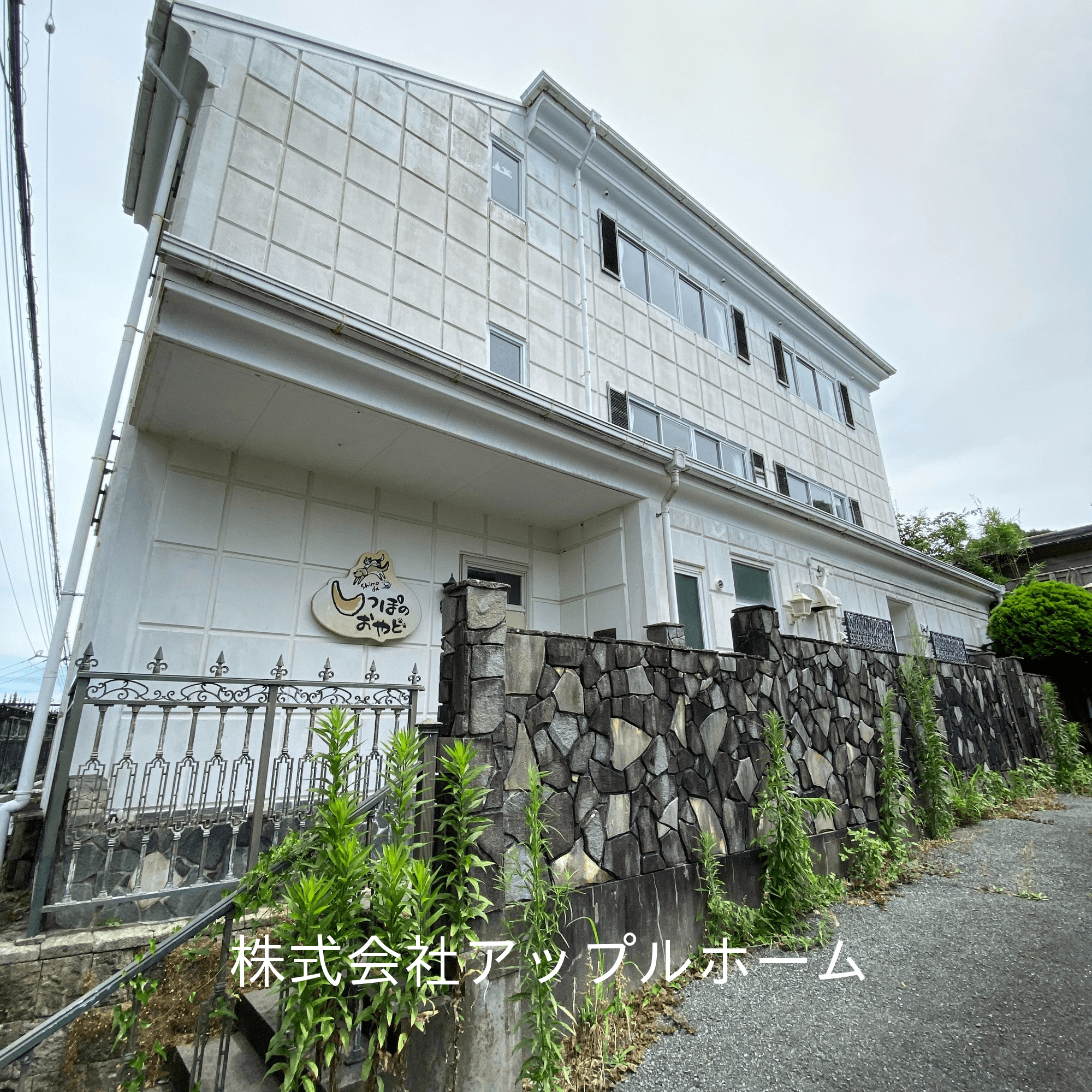 post-image, 20250725181