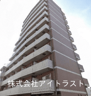 post-image, 202507269