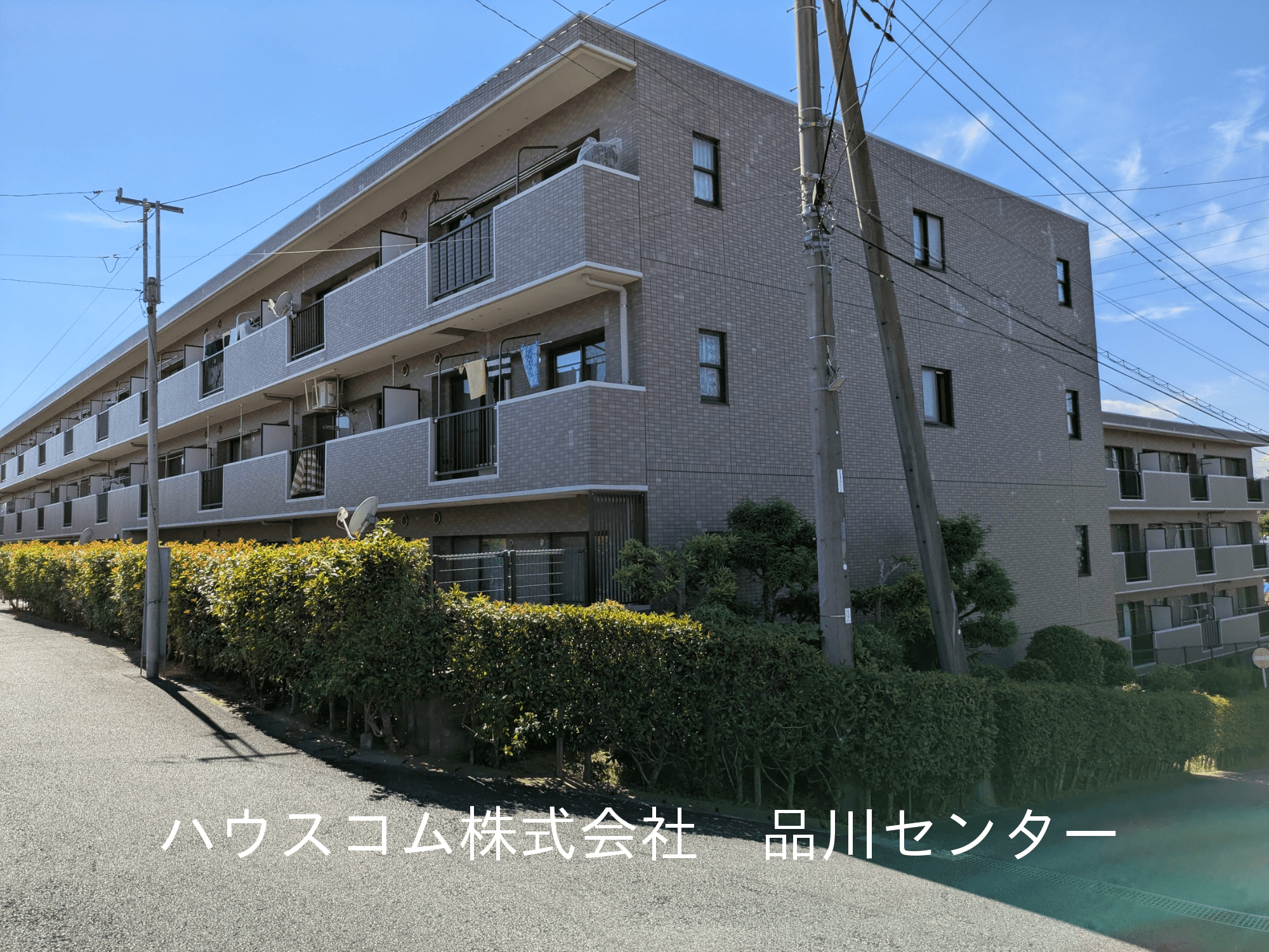 post-image, 20250731243