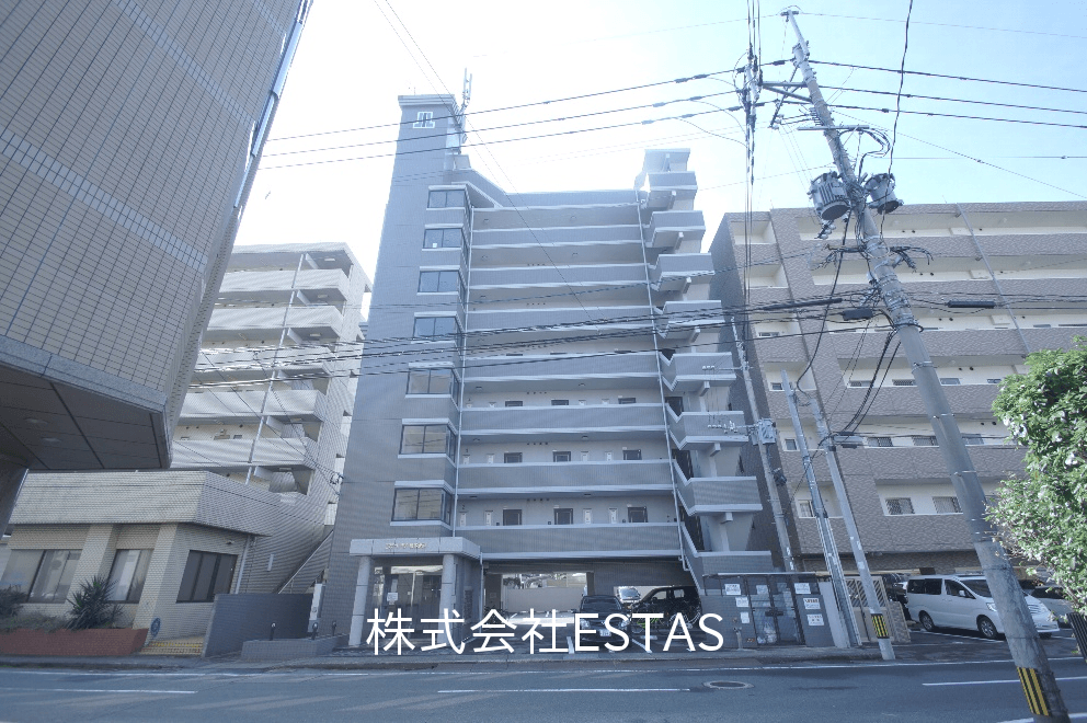post-image, 20250731313