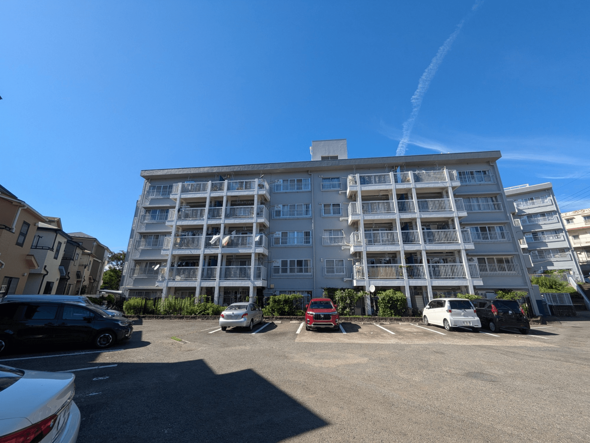 post-image, 2025080311