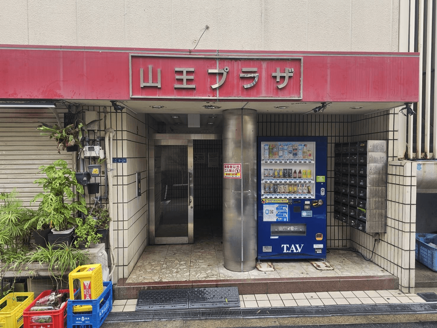 post-image, 20250803253