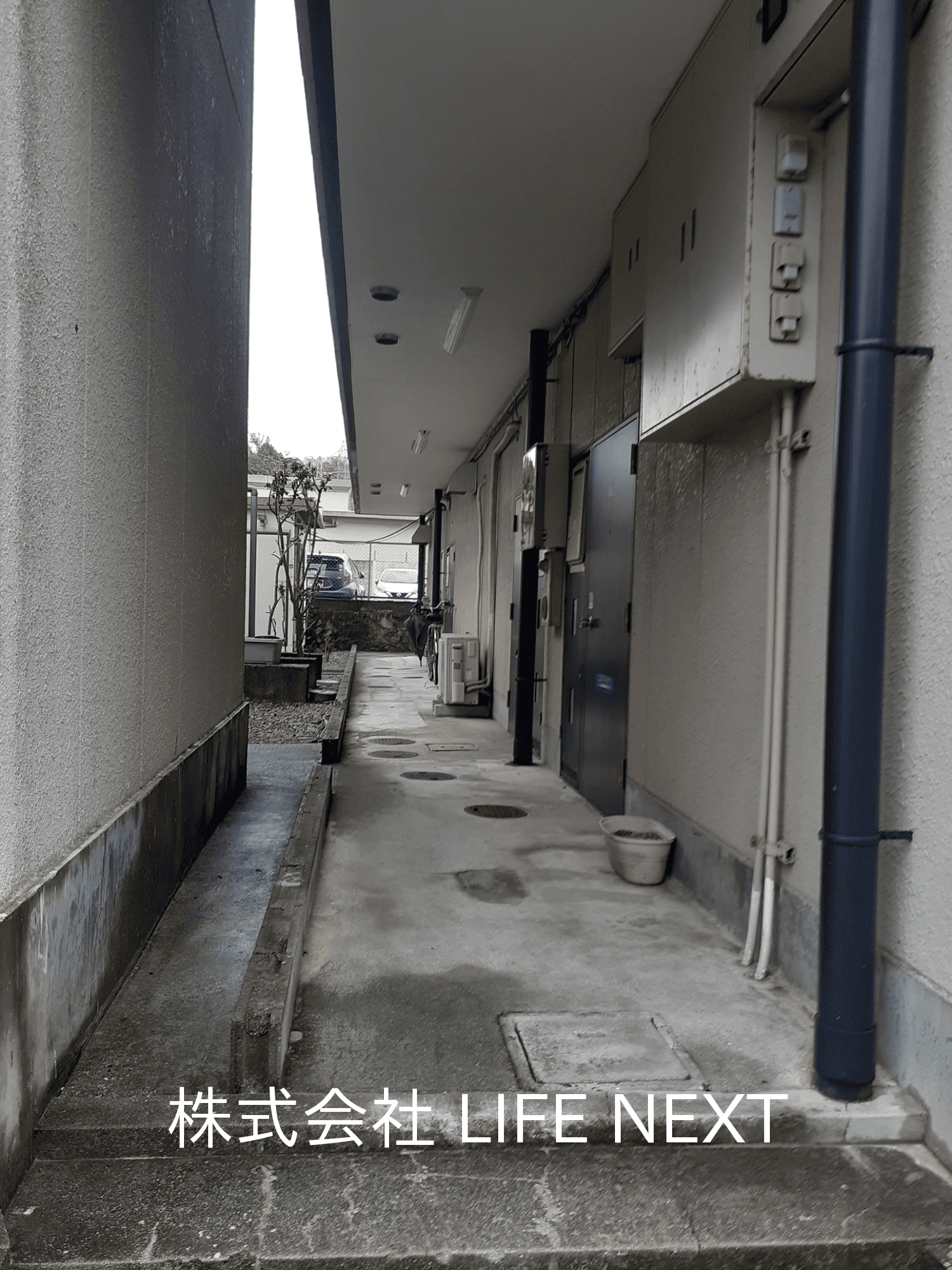 post-image, 20250803894