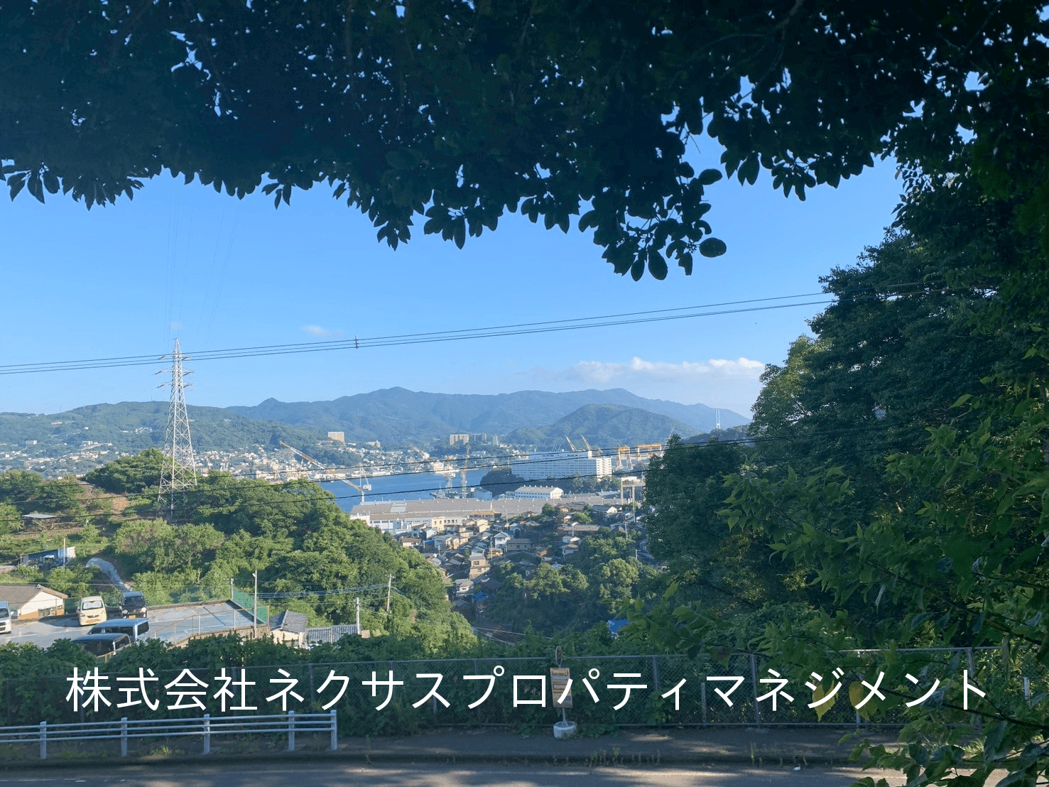 post-image, 20250809191