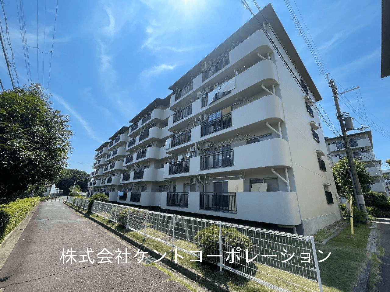 post-image, 20250809196