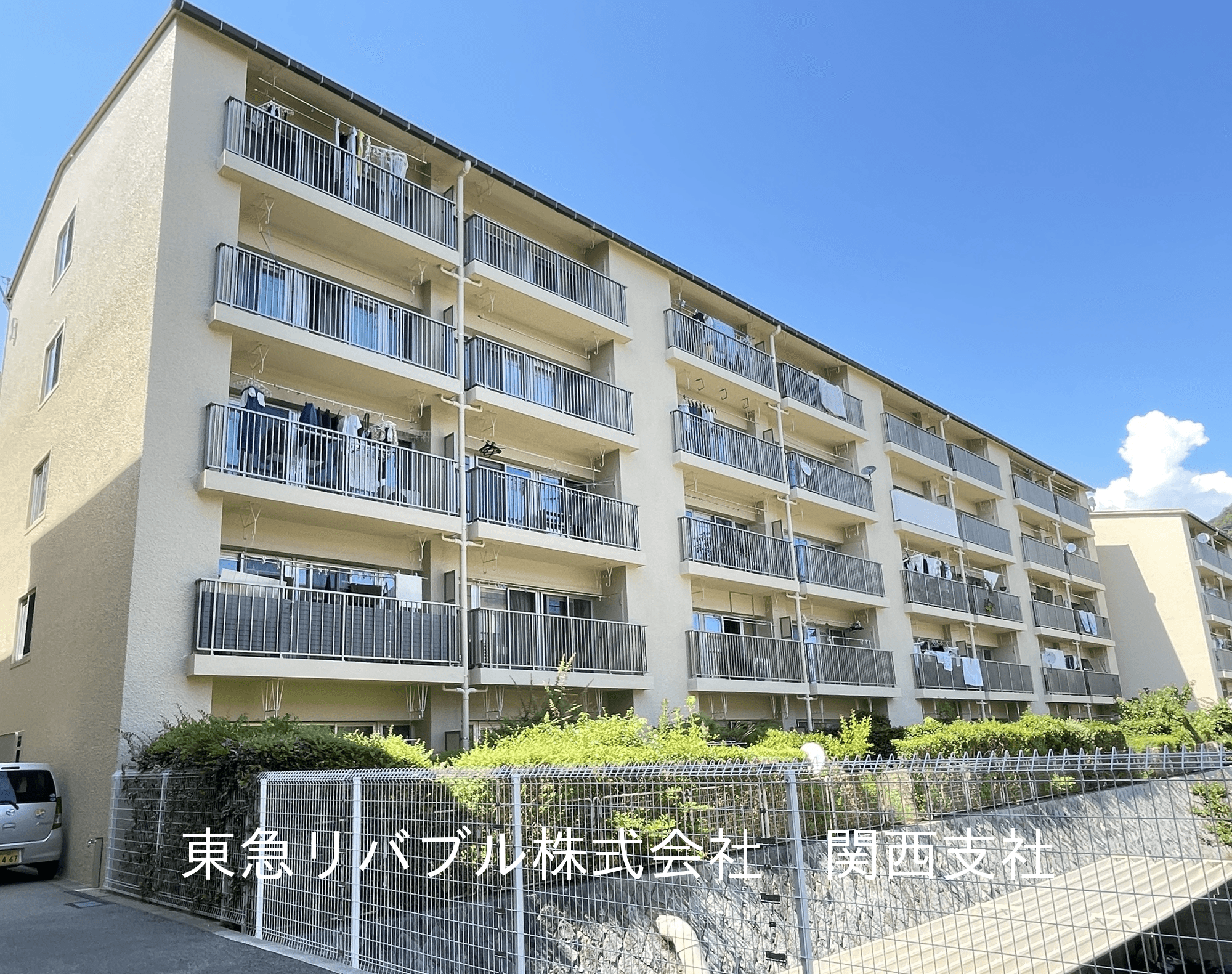 post-image, 20250809235