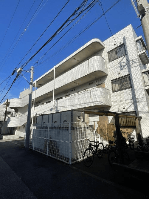 post-image, 20250809242