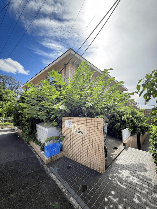 post-image, 20250809252