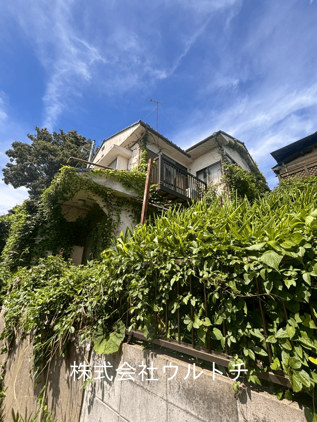 post-image, 20250809413