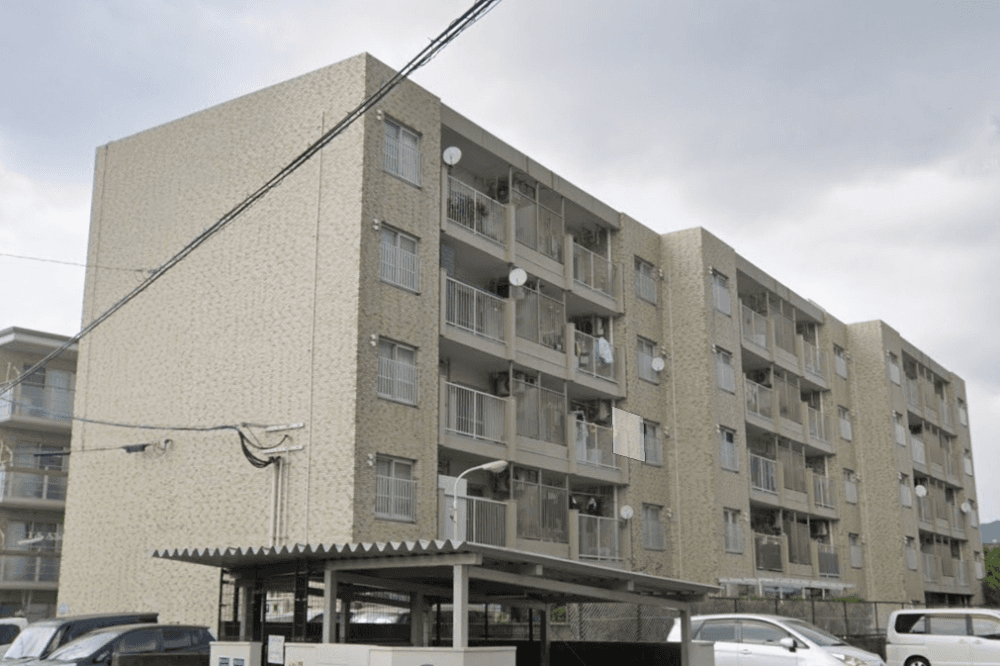 post-image, 20250809476