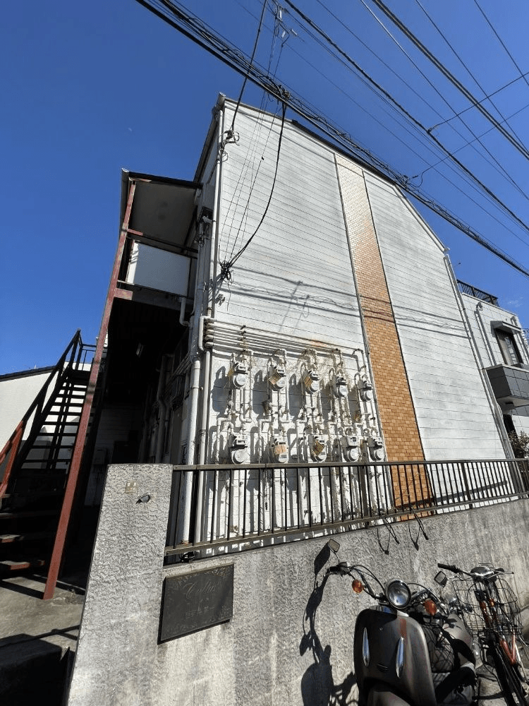 post-image, 20250809565