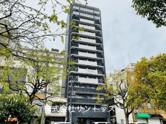 post-image, 20250809808