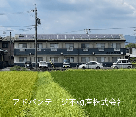 post-image, 20250809895