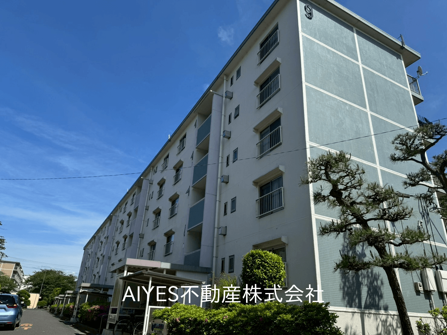 post-image, 20250809903