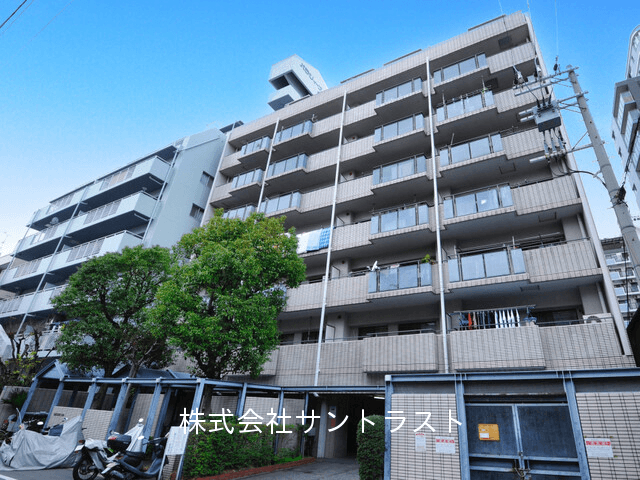 post-image, 20250811153