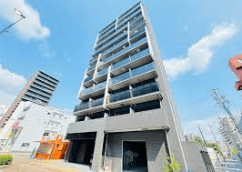 post-image, 20250811348