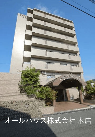 post-image, 20250811532