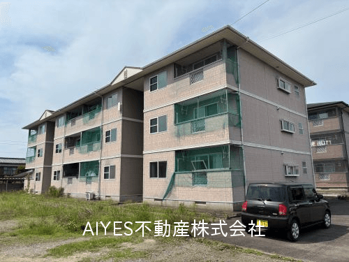 post-image, 20250813146