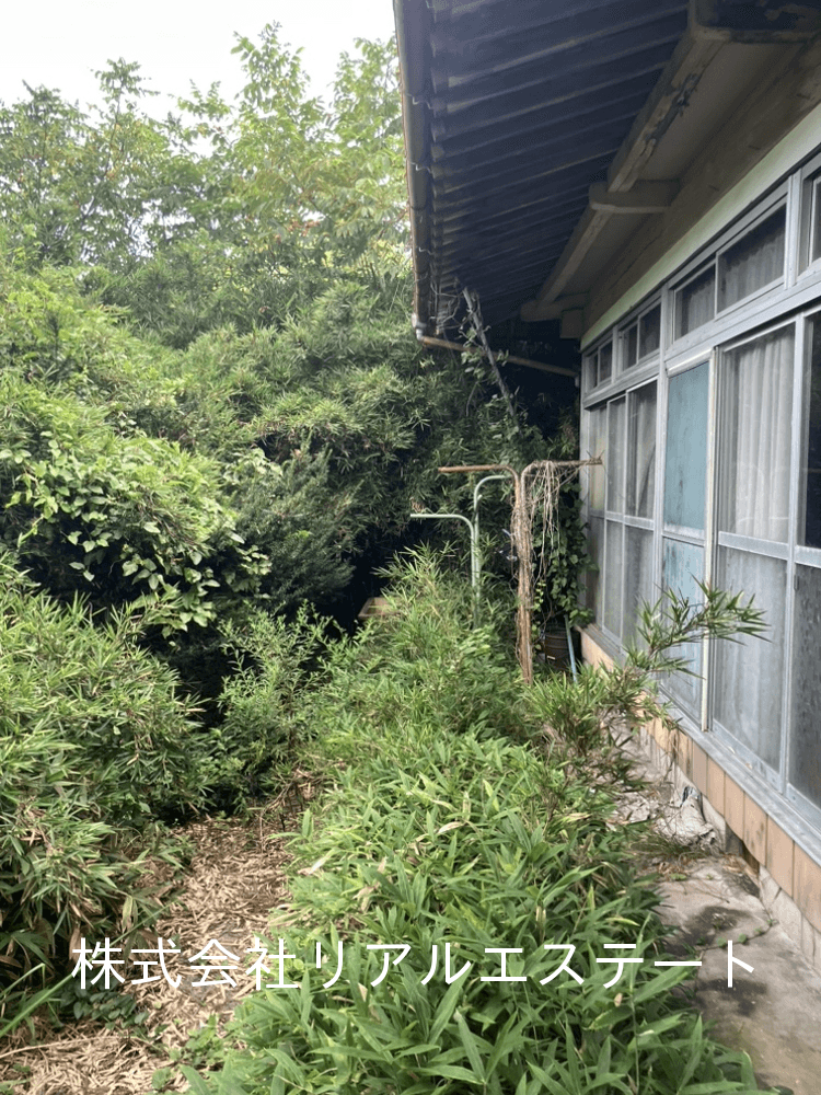 post-image, 20250820645