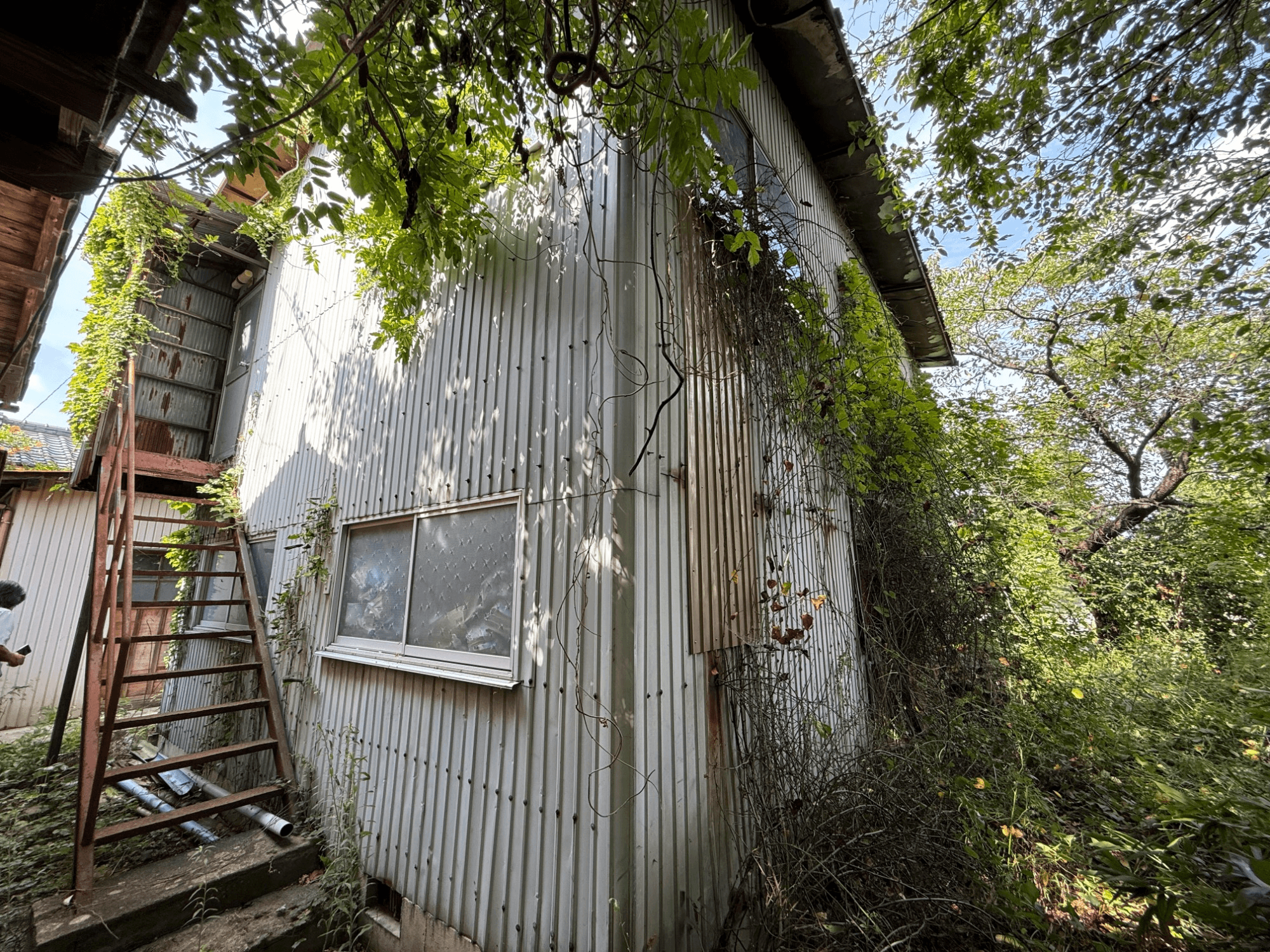 post-image, 20250820792