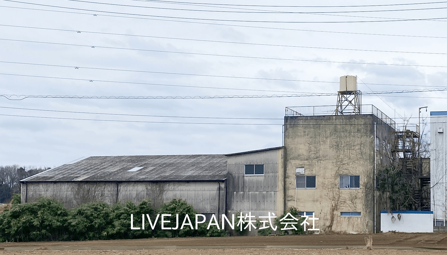 post-image, 20250820929